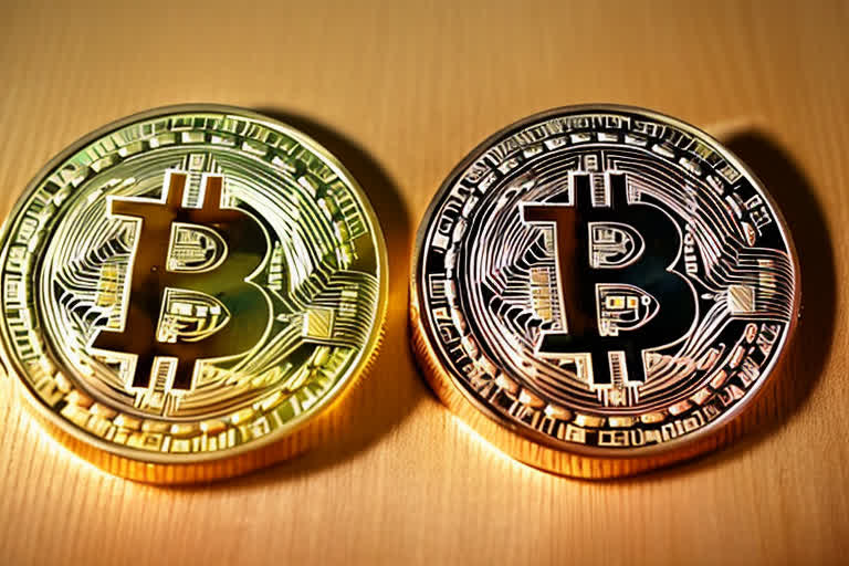 Unveiling the Mysterious Flow: Where Does Your Money Go When Crypto Crashes?